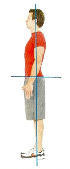 姿勢の図